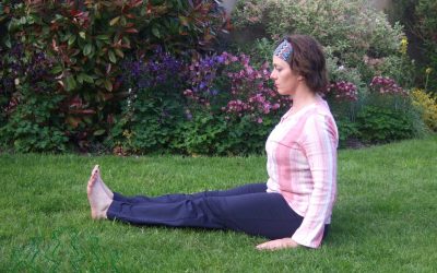 Seated Stick Pose