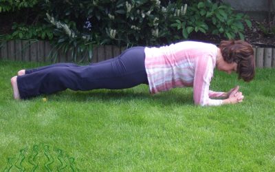 The Plank Yoga Pose