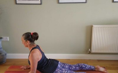 Sphinx | Yoga Pose