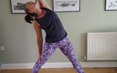 Reverse Triangle | Yoga Pose