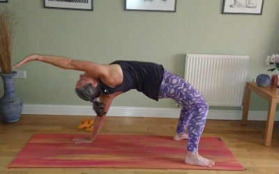 Wild Thing Yoga Pose