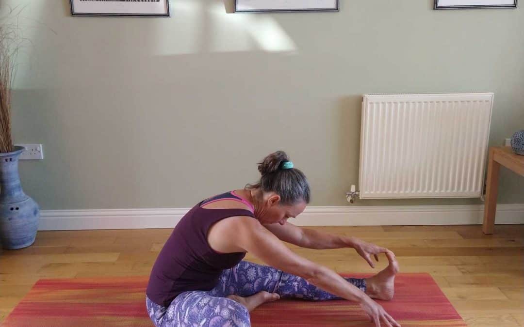 1 Leg Forward Fold