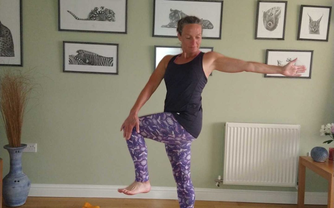 Twisted Knee Lift Yoga Pose