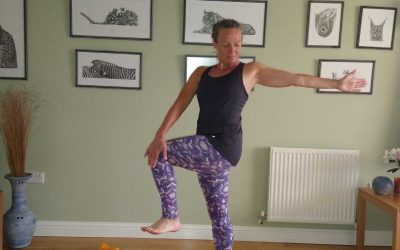Twisted Knee Lift Yoga Pose